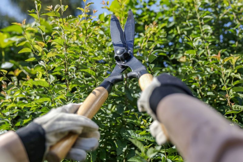Shrub Pruning Tools